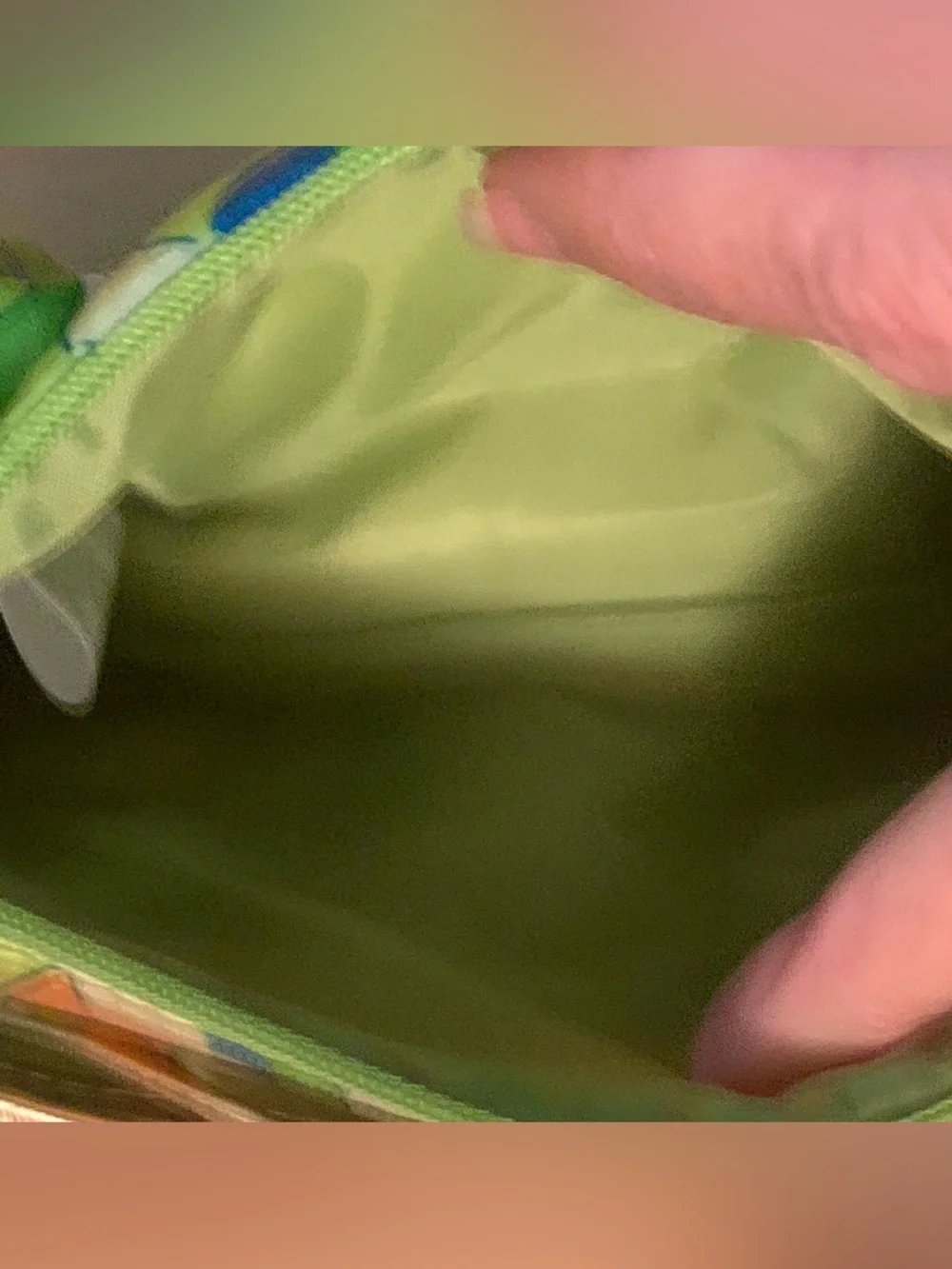 Vibrant Green Multi-Color Women's Cosmetic Bag with Floral Motif